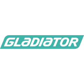 Лодочный мотор GLADIATOR GEF115FEL-T